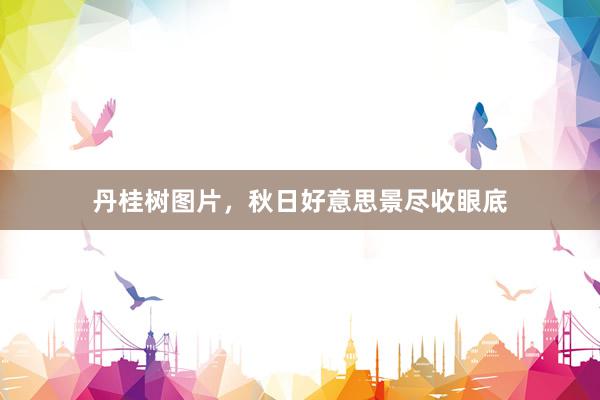 丹桂树图片，秋日好意思景尽收眼底